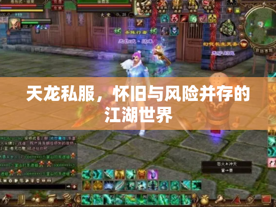 天龙私服，怀旧与风险并存的江湖世界