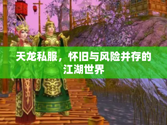 天龙私服，怀旧与风险并存的江湖世界