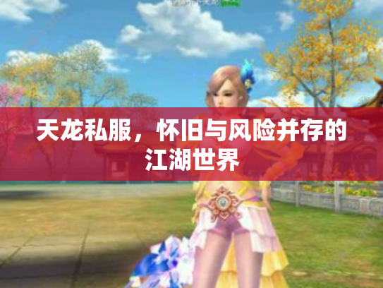 天龙私服，怀旧与风险并存的江湖世界