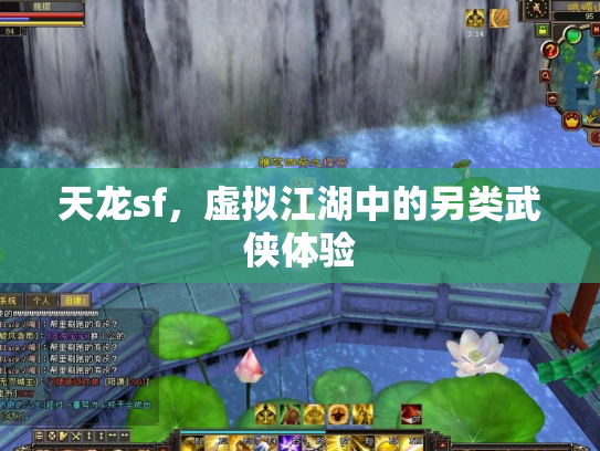 天龙sf，虚拟江湖中的另类武侠体验