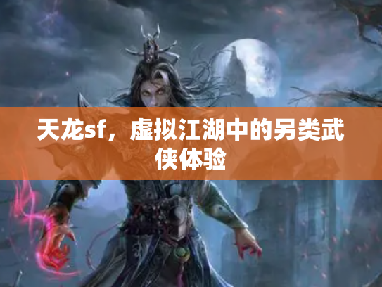 天龙sf，虚拟江湖中的另类武侠体验