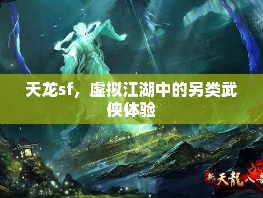 天龙sf，虚拟江湖中的另类武侠体验
