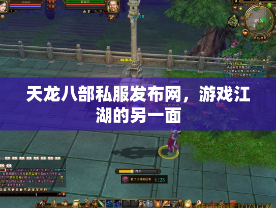天龙八部私服发布网，游戏江湖的另一面