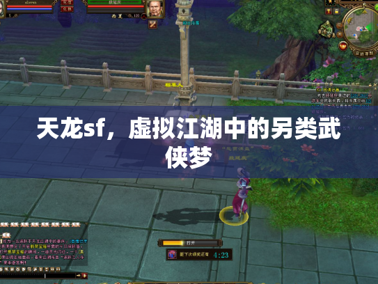 天龙sf，虚拟江湖中的另类武侠梦