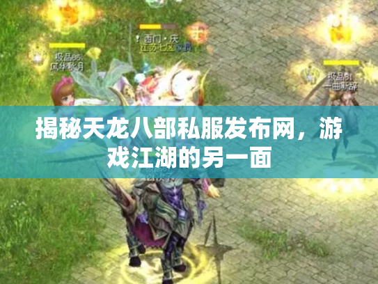 揭秘天龙八部私服发布网，游戏江湖的另一面