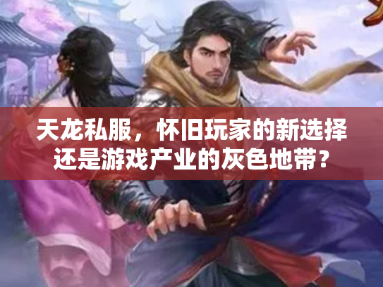 天龙私服，怀旧玩家的新选择还是游戏产业的灰色地带？