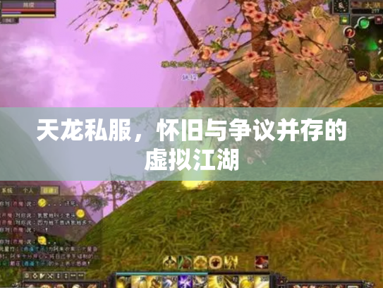 天龙私服，怀旧与争议并存的虚拟江湖