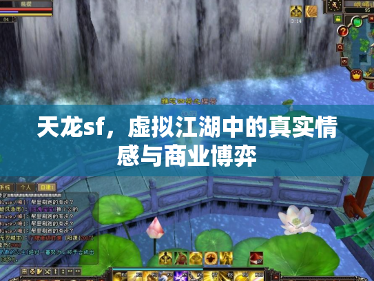 天龙sf，虚拟江湖中的真实情感与商业博弈