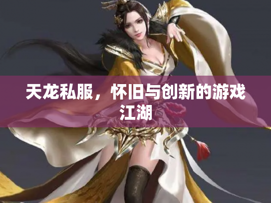 天龙私服，怀旧与创新的游戏江湖