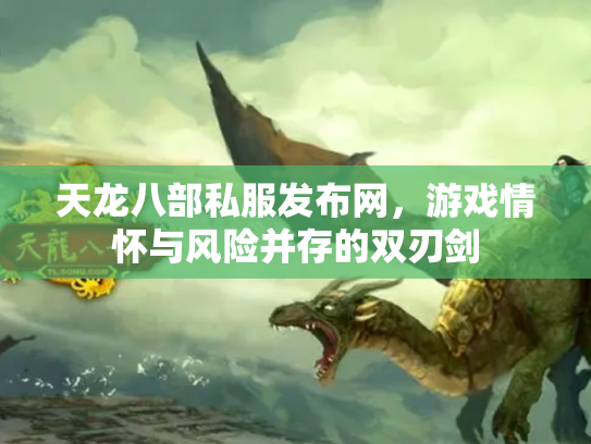 天龙八部私服发布网，游戏情怀与风险并存的双刃剑