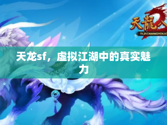 天龙sf，虚拟江湖中的真实魅力