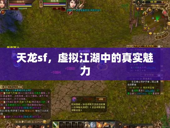 天龙sf，虚拟江湖中的真实魅力