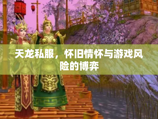 天龙私服，怀旧情怀与游戏风险的博弈