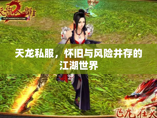 天龙私服，怀旧与风险并存的江湖世界