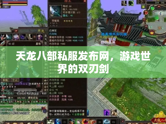 天龙八部私服发布网，游戏世界的双刃剑