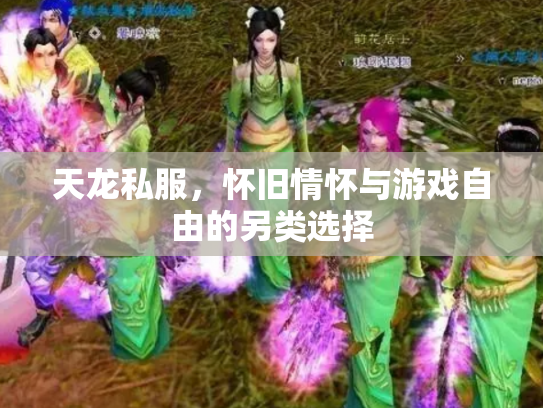 天龙私服，怀旧情怀与游戏自由的另类选择