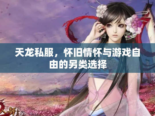 天龙私服，怀旧情怀与游戏自由的另类选择