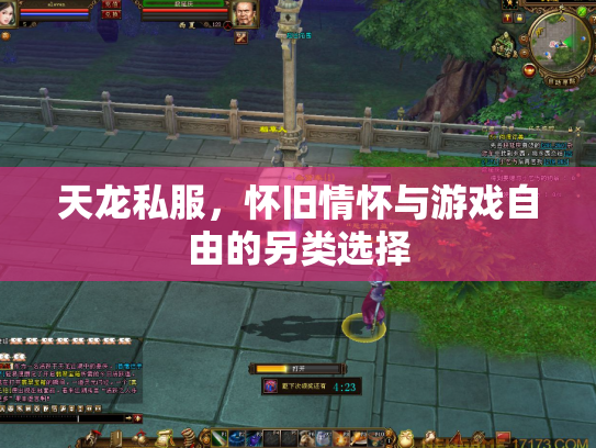 天龙私服，怀旧情怀与游戏自由的另类选择