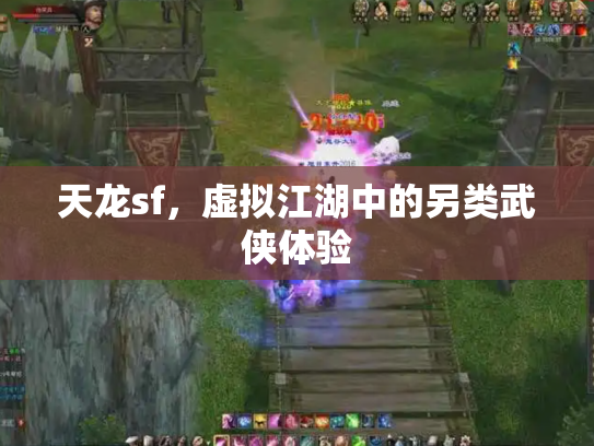 天龙sf，虚拟江湖中的另类武侠体验