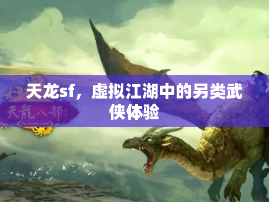 天龙sf，虚拟江湖中的另类武侠体验