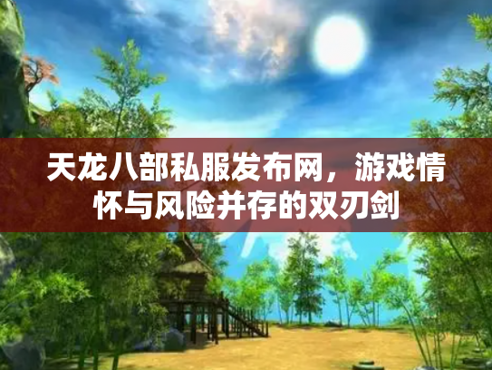 天龙八部私服发布网，游戏情怀与风险并存的双刃剑