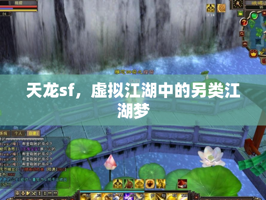 天龙sf，虚拟江湖中的另类江湖梦