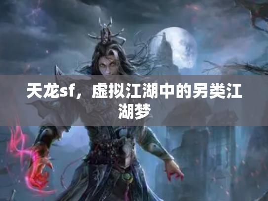 天龙sf，虚拟江湖中的另类江湖梦
