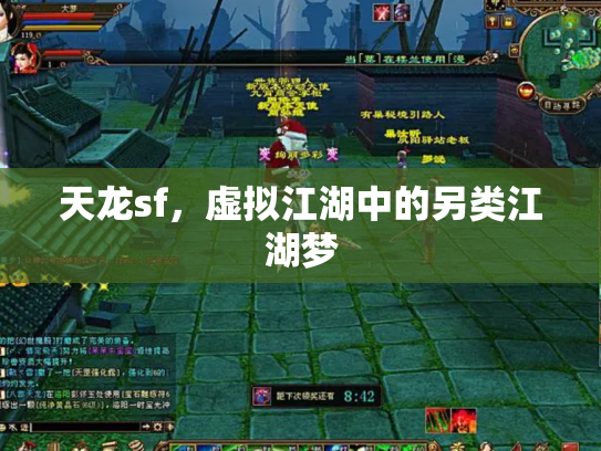 天龙sf，虚拟江湖中的另类江湖梦
