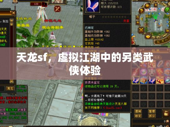 天龙sf，虚拟江湖中的另类武侠体验