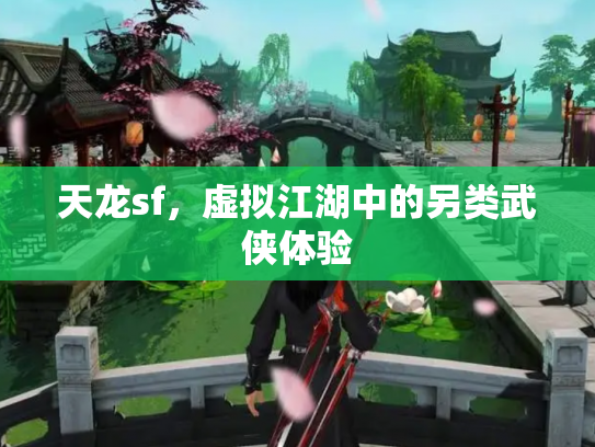 天龙sf，虚拟江湖中的另类武侠体验