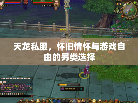 天龙私服，怀旧情怀与游戏自由的另类选择