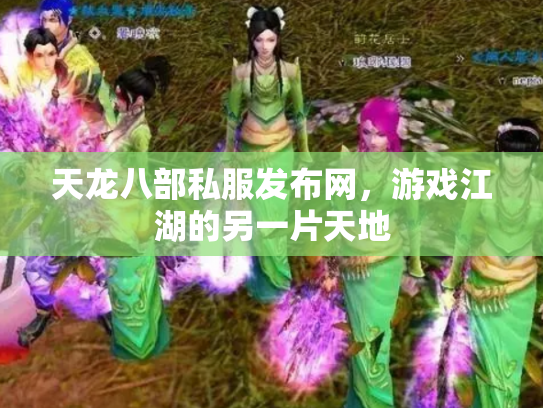 天龙八部私服发布网，游戏江湖的另一片天地