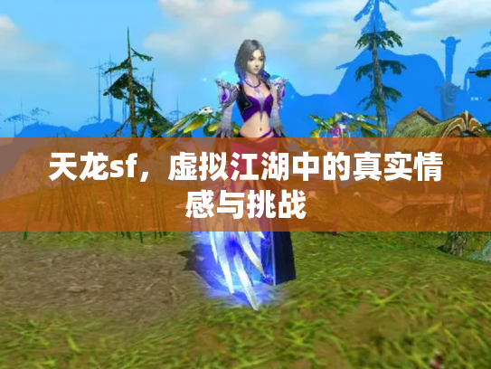 天龙sf，虚拟江湖中的真实情感与挑战