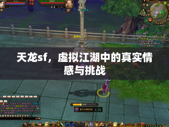 天龙sf，虚拟江湖中的真实情感与挑战