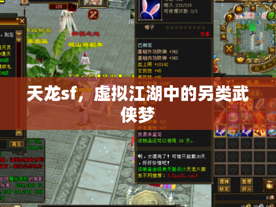 天龙sf，虚拟江湖中的另类武侠梦