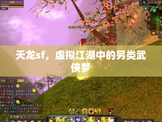 天龙sf，虚拟江湖中的另类武侠梦