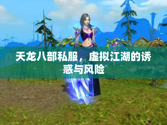 天龙八部私服，虚拟江湖的诱惑与风险