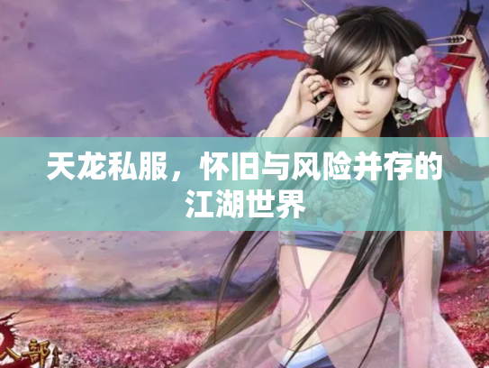 天龙私服，怀旧与风险并存的江湖世界