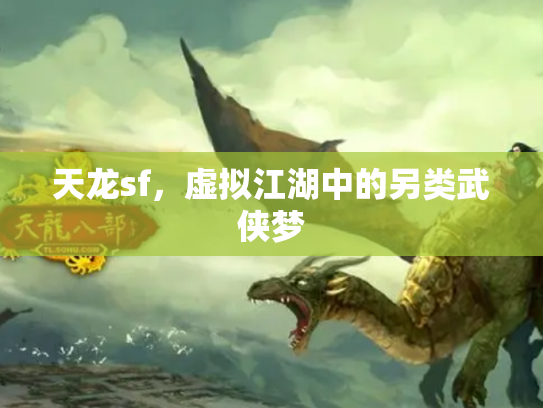天龙sf，虚拟江湖中的另类武侠梦