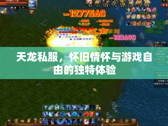天龙私服，怀旧情怀与游戏自由的独特体验