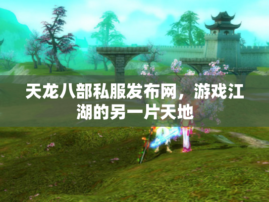 天龙八部私服发布网，游戏江湖的另一片天地