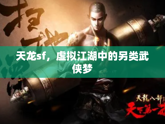 天龙sf，虚拟江湖中的另类武侠梦