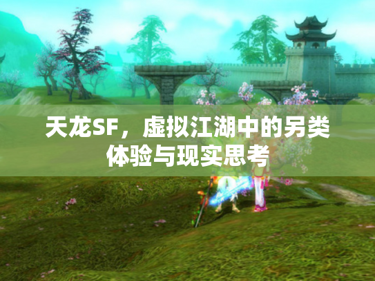 天龙SF，虚拟江湖中的另类体验与现实思考