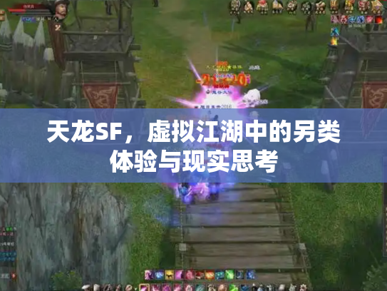 天龙SF，虚拟江湖中的另类体验与现实思考