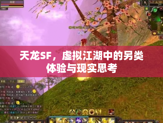 天龙SF，虚拟江湖中的另类体验与现实思考