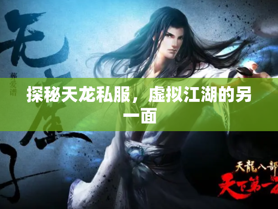 探秘天龙私服，虚拟江湖的另一面