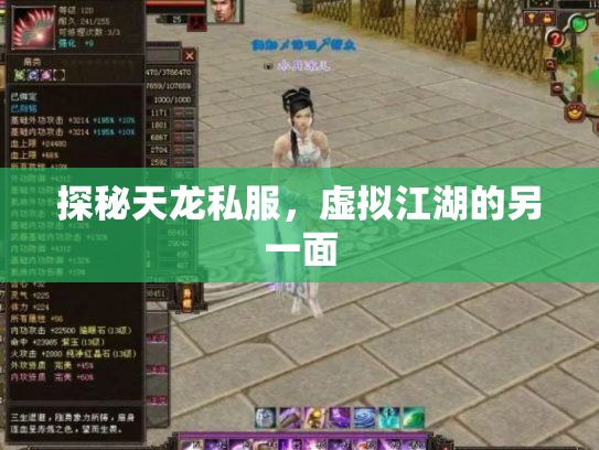 探秘天龙私服，虚拟江湖的另一面