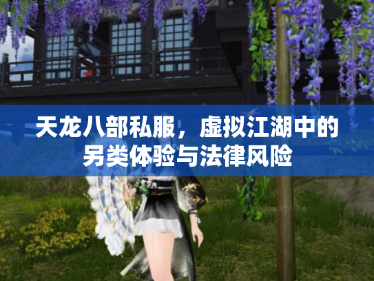 天龙八部私服，虚拟江湖中的另类体验与法律风险