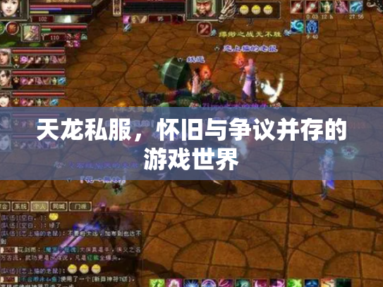 天龙私服，怀旧与争议并存的游戏世界
