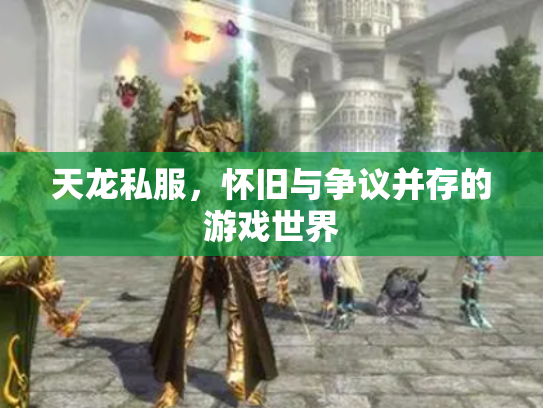 天龙私服，怀旧与争议并存的游戏世界